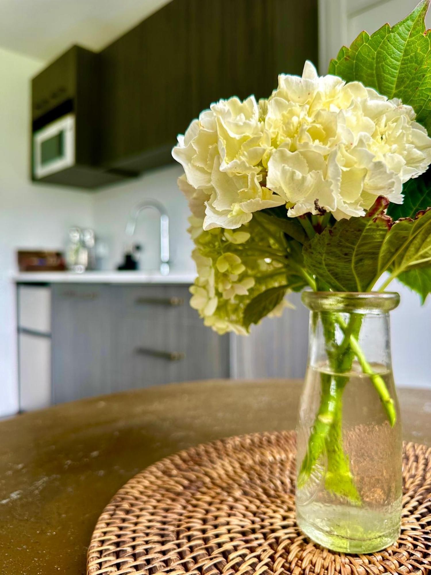 Matamata Country B&B Zewnętrze zdjęcie