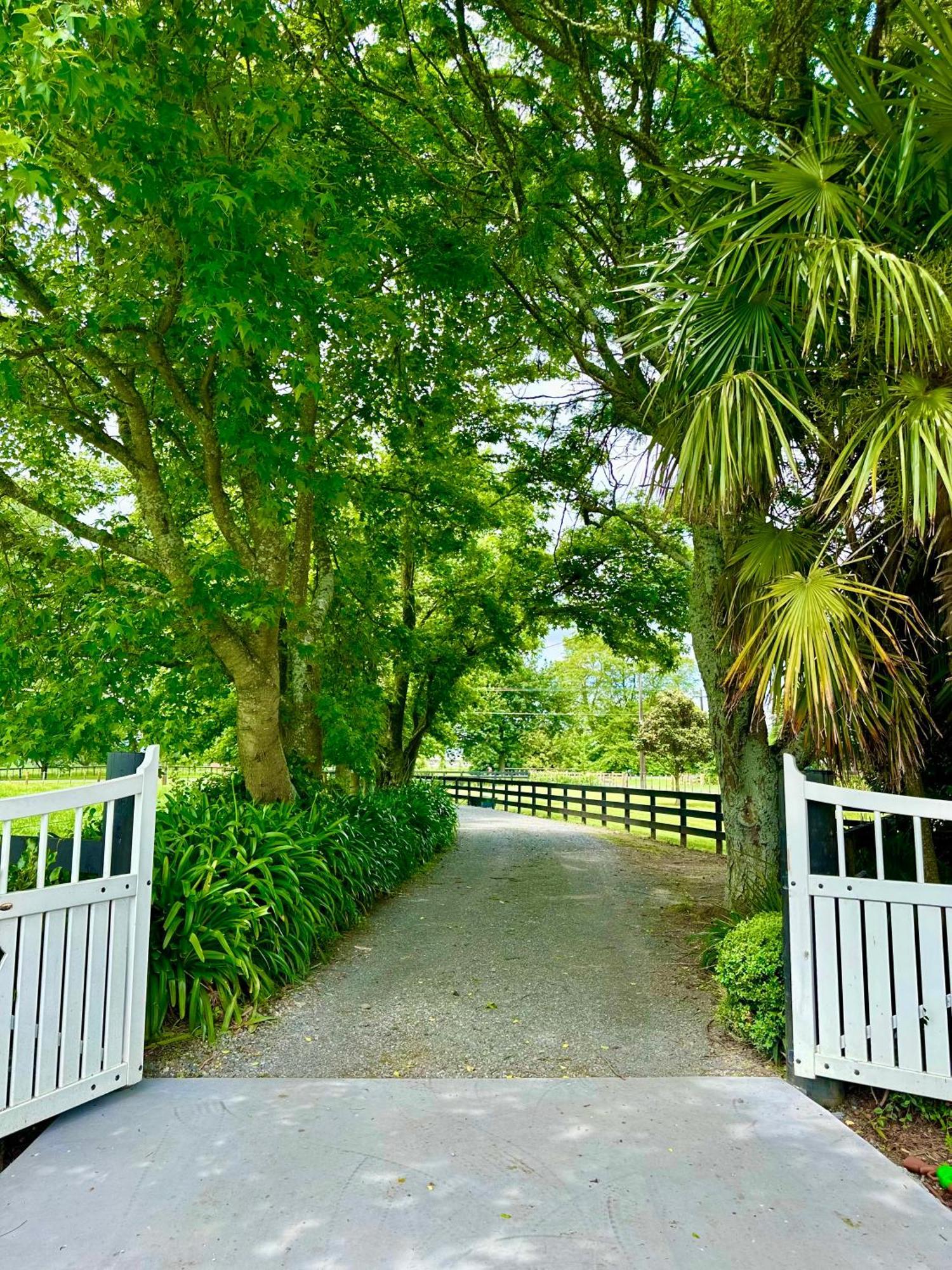 Matamata Country B&B Zewnętrze zdjęcie